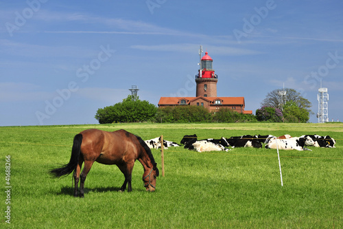 Natur am Leuchtturm BUK