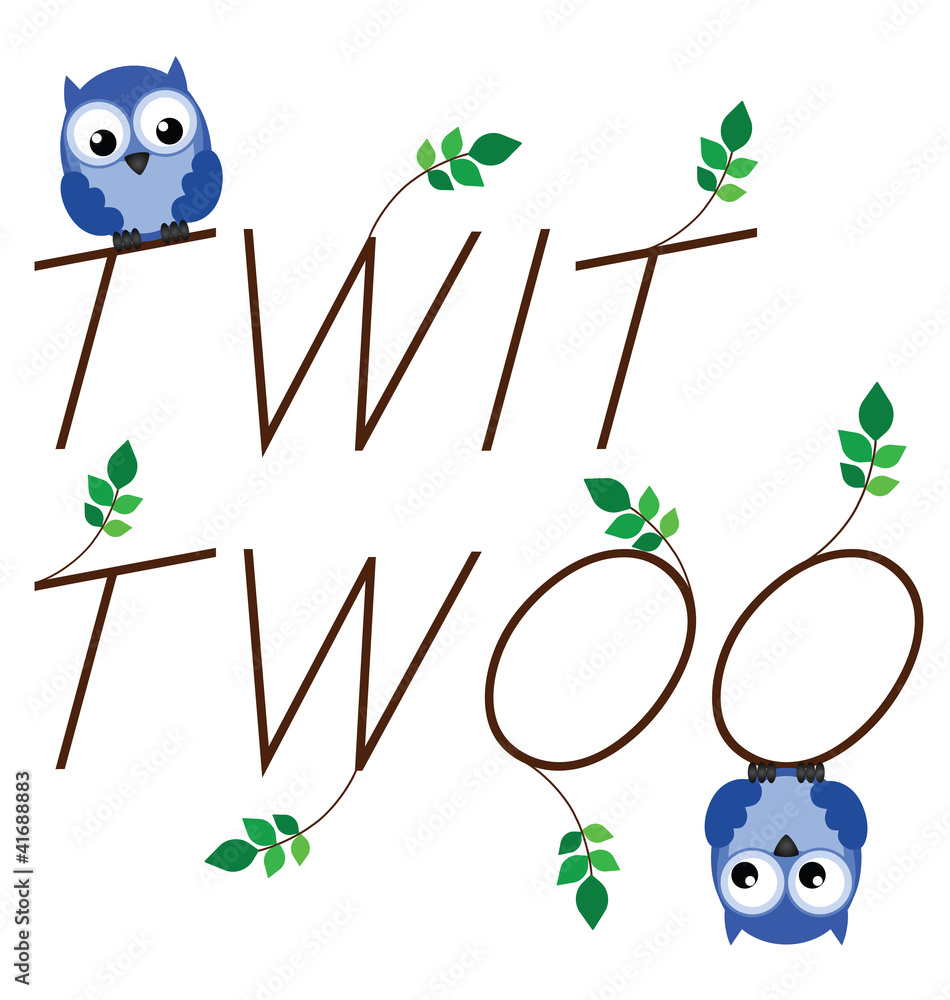 Fototapeta premium Owl call twig text isolated on white background