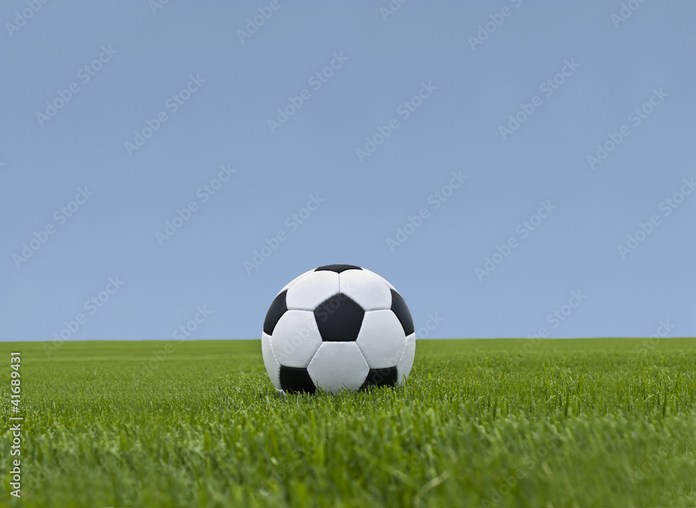 Fototapeta premium Soccer ball