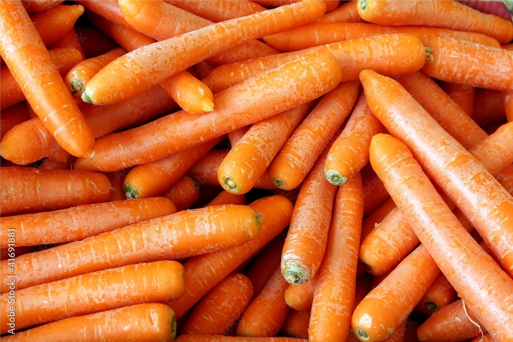 garden carrots