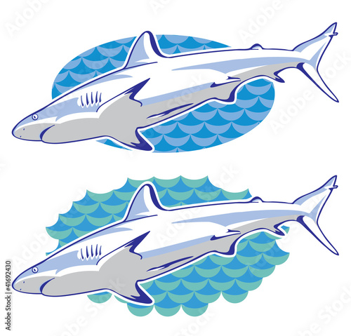 Drawing of a shark
