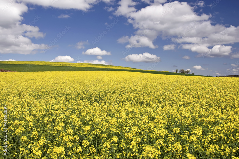 Springtime, Germany