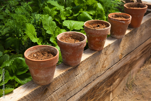 Terracotta pots with soil