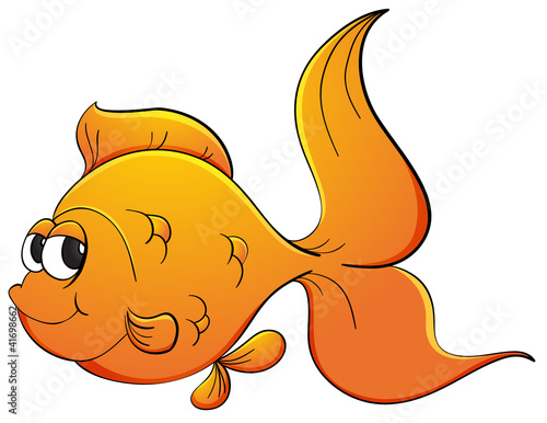 Goldfish
