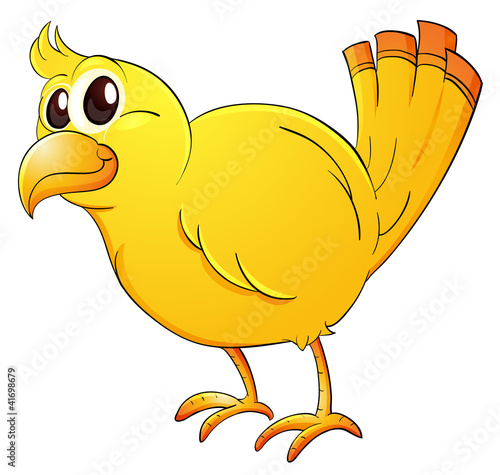 Yellow bird