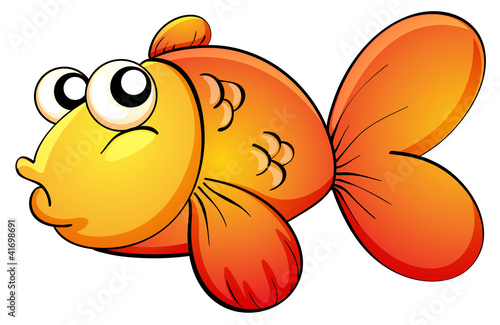 Tropical orange fish