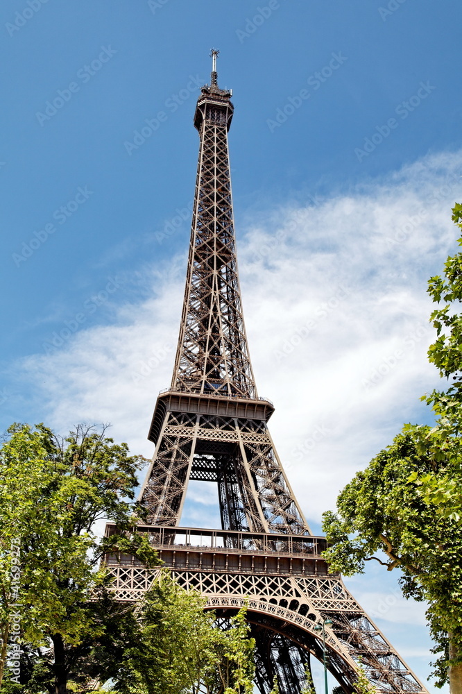 Tour Eiffel, ciel bleu et branches d'arbres.
