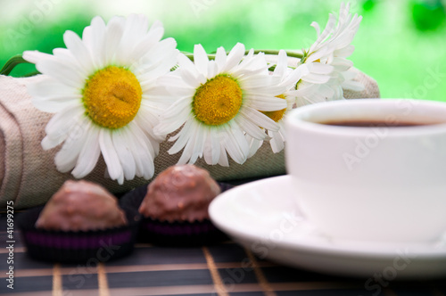 cup of coffee and daisies in the garden