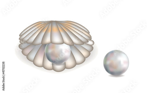Beautiful shell with pearl isolated, vector illustration