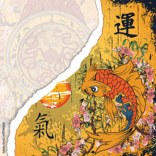 torn cardboard with koi fish