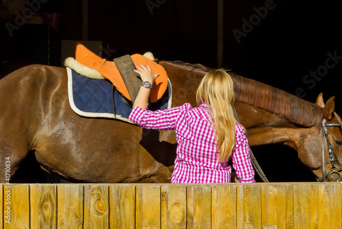 Pferd im Stall photo