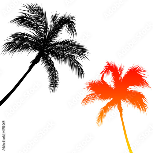 Fototapeta Naklejka Na Ścianę i Meble -  Vacances sous les palmiers