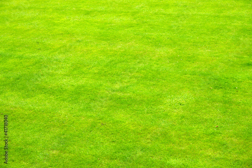 Background of some very green english grass © elxeneize