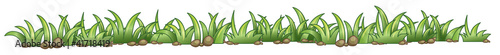 Grass texture