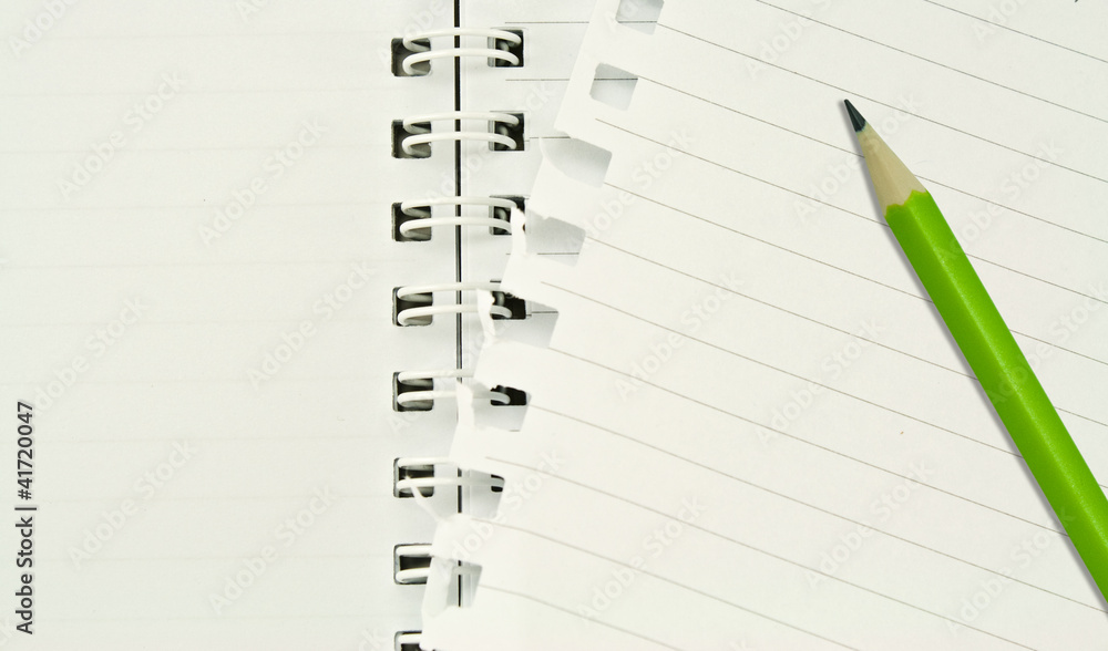 lined notebook ,a tornrd out page, and green pencil lined notebook ,a tornrd out page, and green pencil