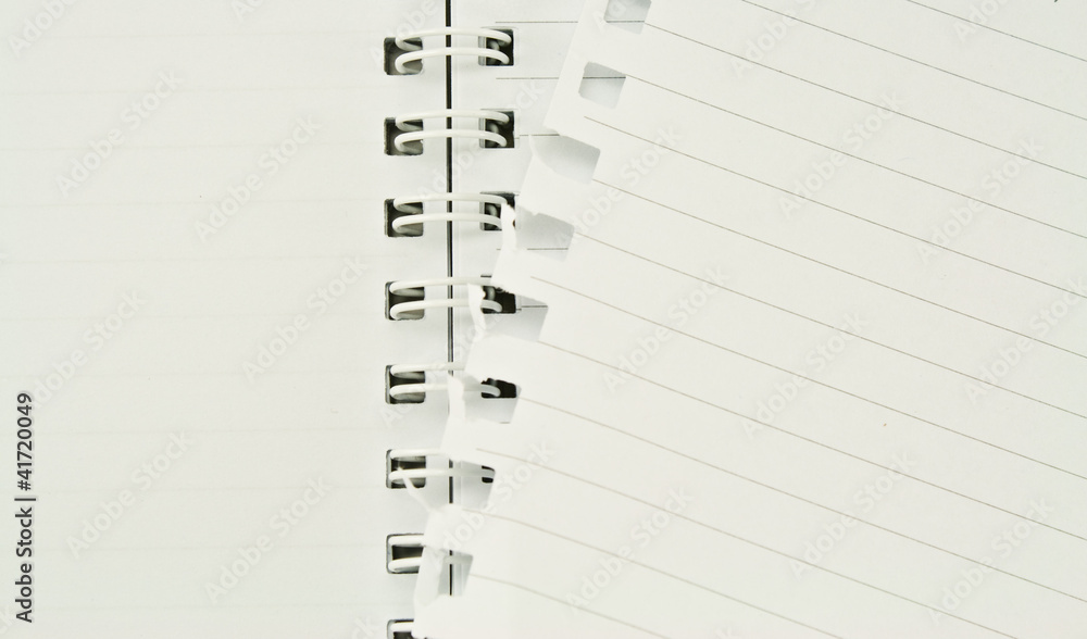 lined notebook and a tornrd out page lined notebook and a tornrd out page