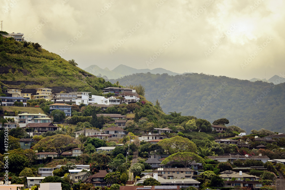 Naklejka premium Hawaiian homes on tropical hillside