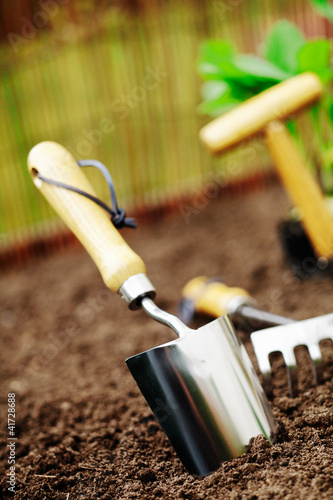 Garden trowel in soil