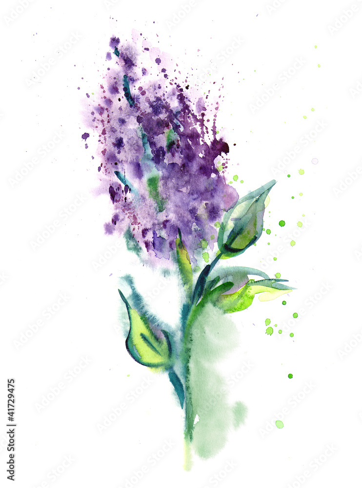 Fototapeta premium watercolor flower