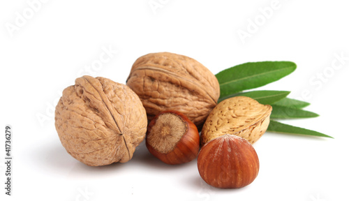 Walnuts, almonds and hazelnuts