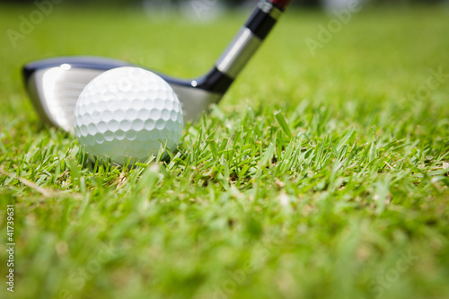 Golf ball in green grass