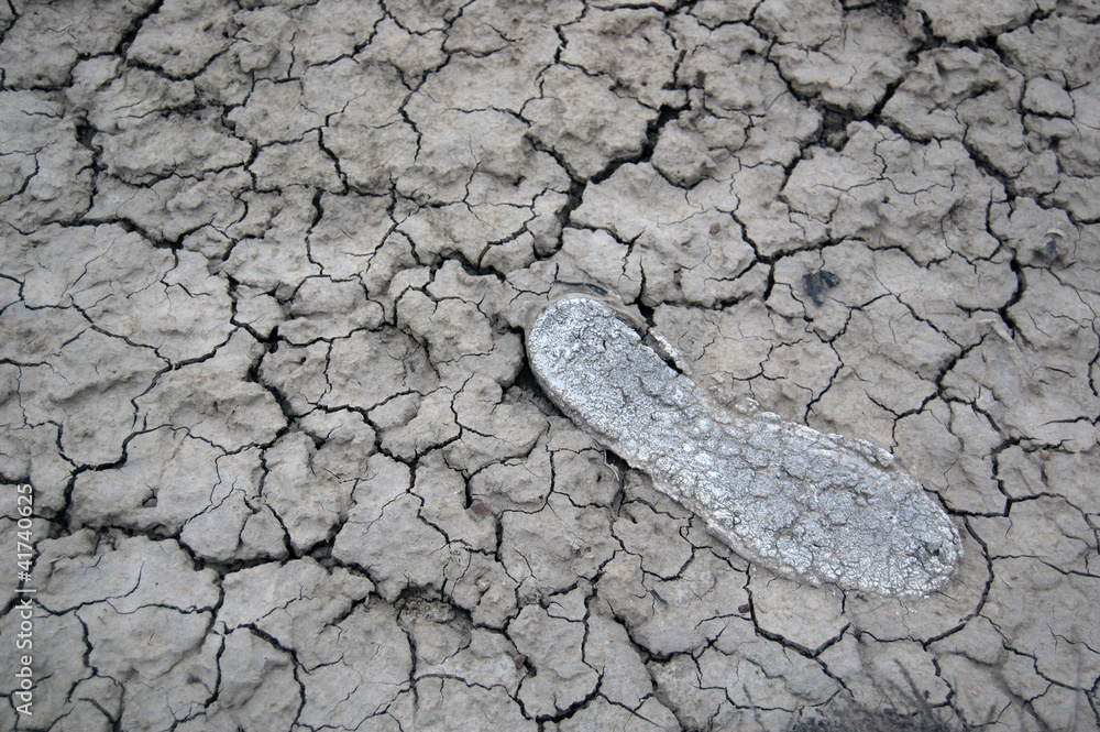Foot print