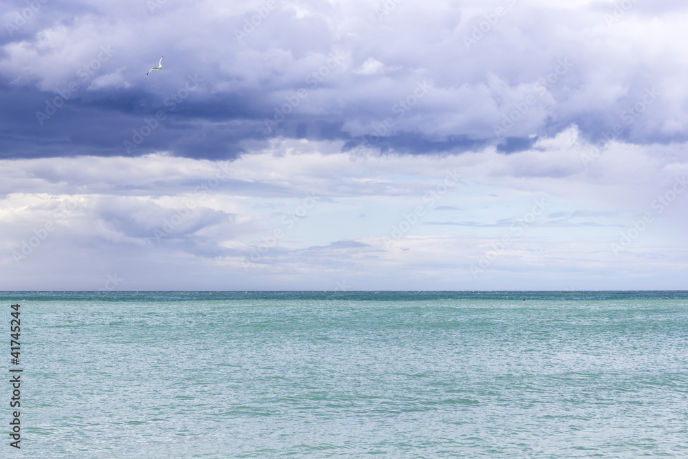 Beautiful azure sea and a gull in the cloudy blue sky