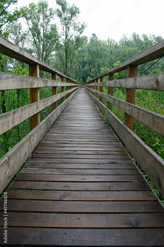 boardwalk nature trail in a nature park