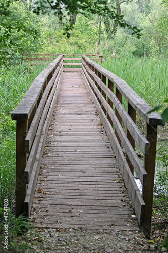 wooden boardwalk nature trail in a nature park