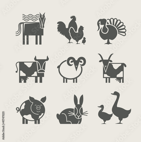 Fototapeta Naklejka Na Ścianę i Meble -  home animal set icon vector illustration