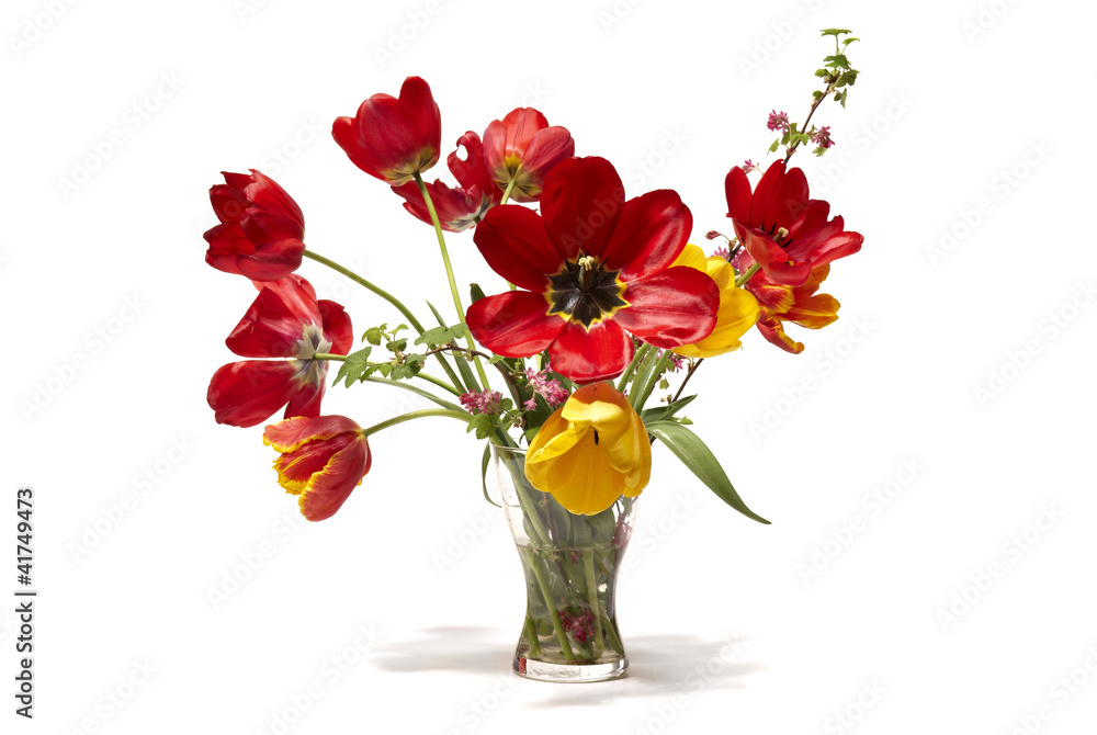 Fototapeta premium Tulips