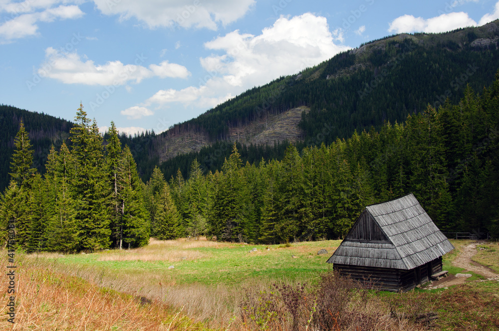 Tatry Polskie-Dolina Olczanska