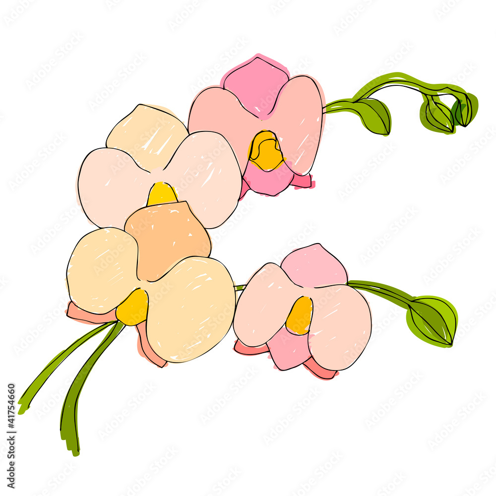 illustrated cute flower for your spring design illustrated cute flower for your spring design