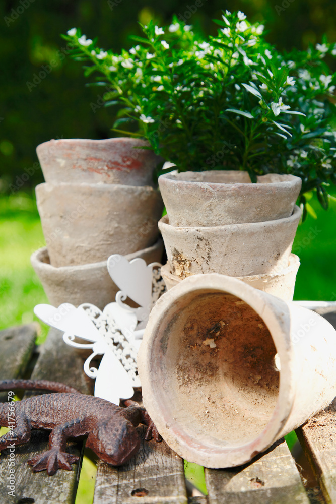 Gardening still life Gardening still life
