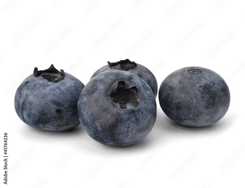 Obraz premium Bilberries or whortleberries cutout