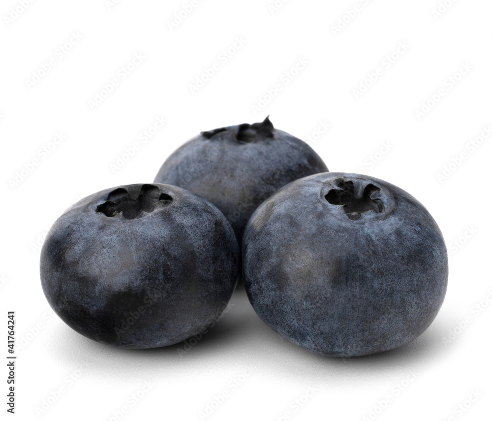 Bilberries or whortleberries cutout Bilberries or whortleberries cutout