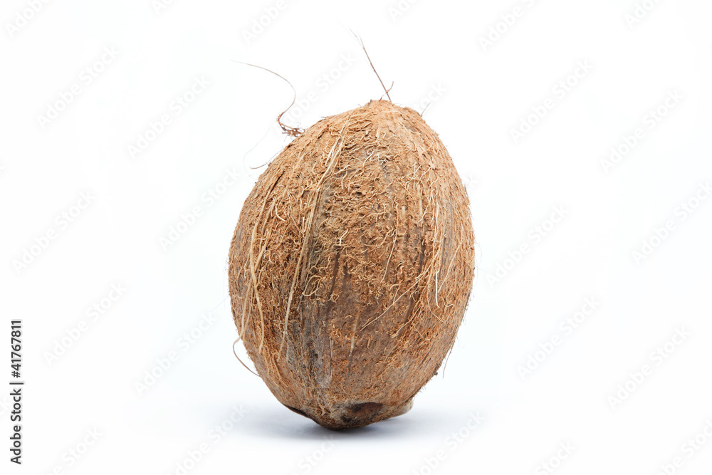 coconut isolated on white coconut isolated on white