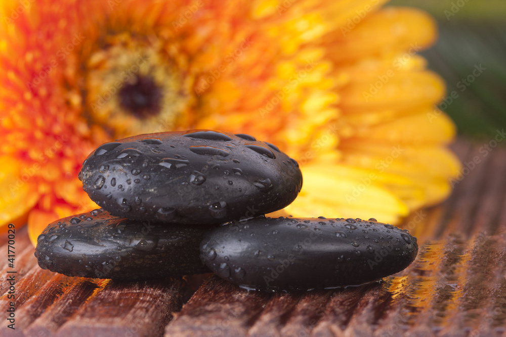 piedras negras con gerbera amarilla y agua Stock Photo | Adobe Stock