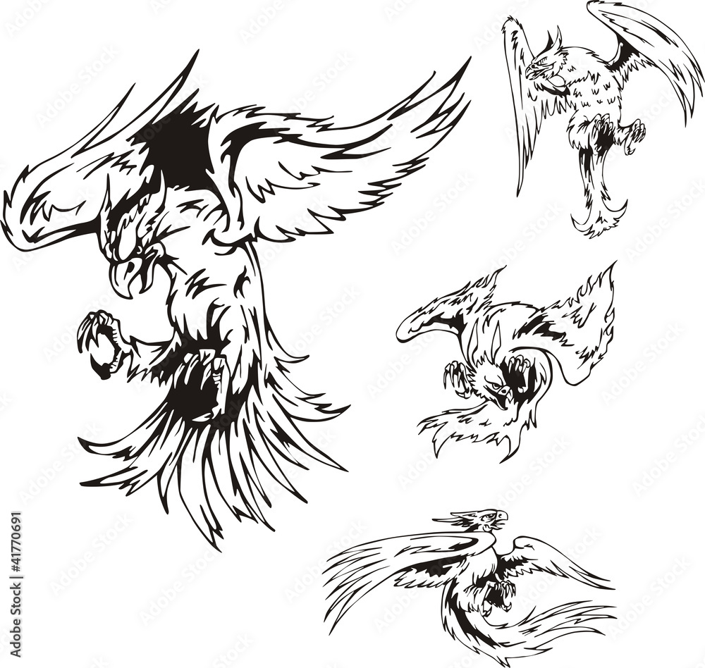 Obraz premium Predatory Bird Tattoos