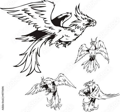 Predatory Bird Tattoos
