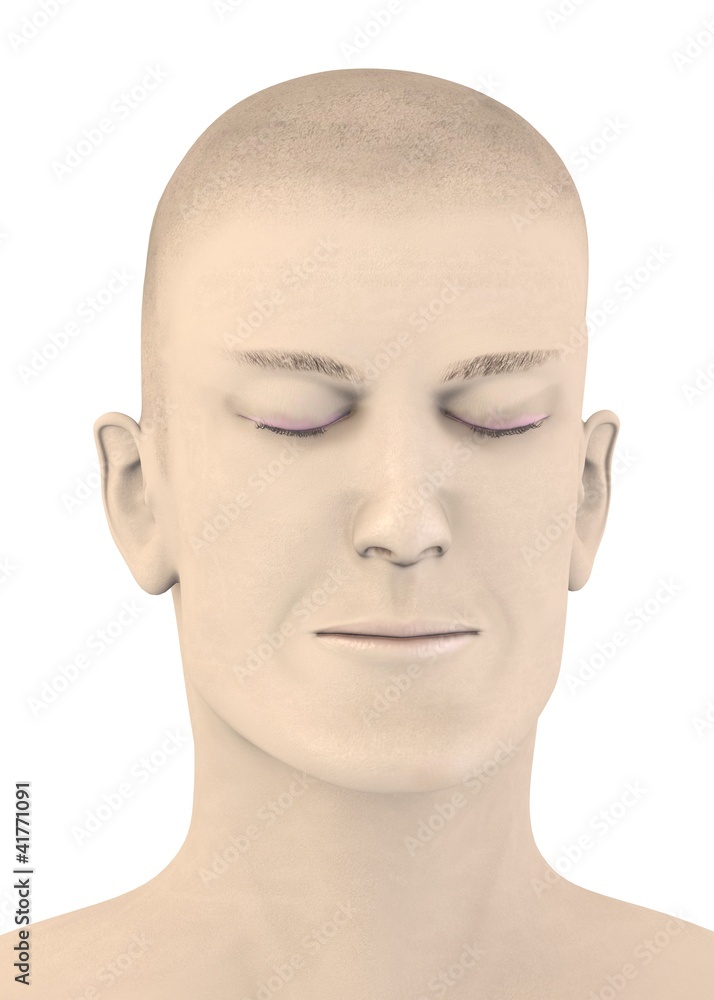 3d render of artifical mala face - blink 3d render of artifical mala face - blink