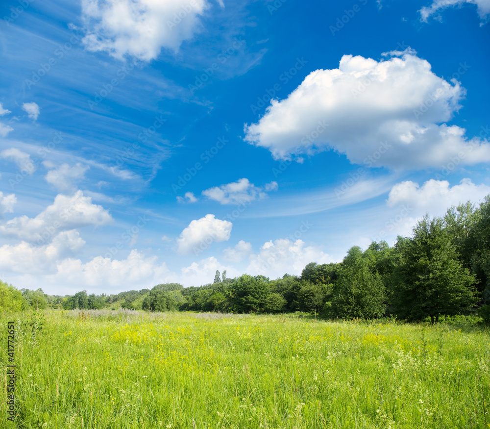 Obraz premium landscape