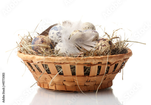 quail eggs in nest isolated on white
