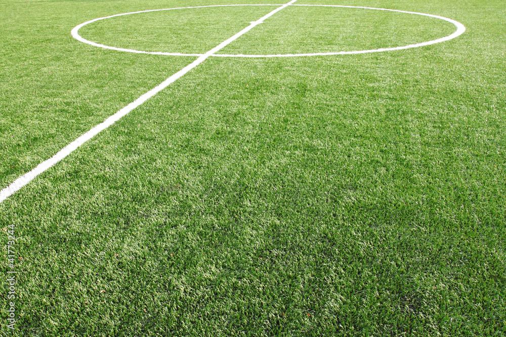 Obraz premium soccer field grass