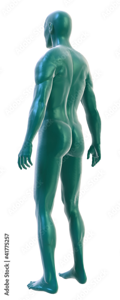 Male body on white, back three_quarter view Male body on white, back three_quarter view
