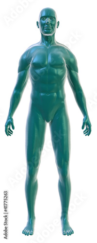 Male body on white, front view