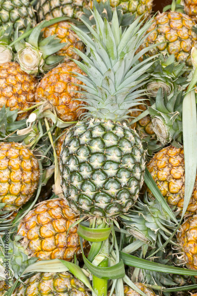 Group of pineapple Group of pineapple
