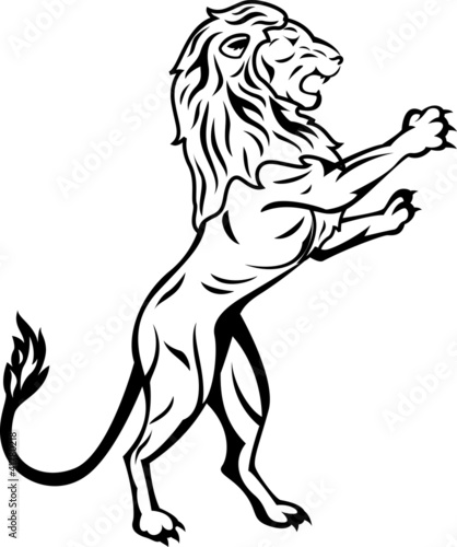 Fototapeta Naklejka Na Ścianę i Meble -  Lion tattoo