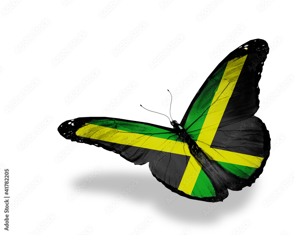 Jamaican flag butterfly flying, isolated on white background Stock