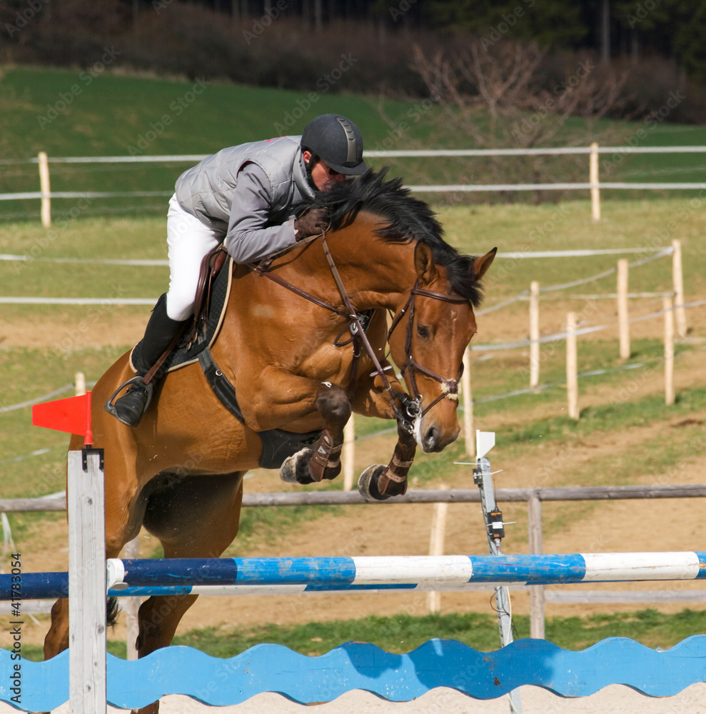 Rider on brown horse on showjumping competition Rider on brown horse on showjumping competition